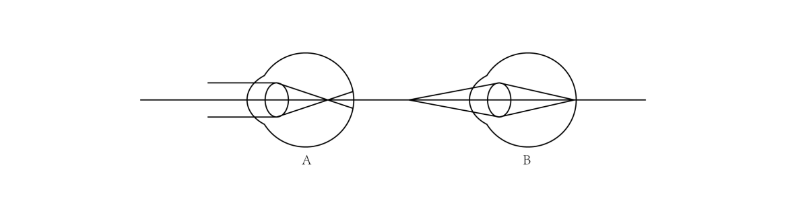 1591105694412457.png 1.png